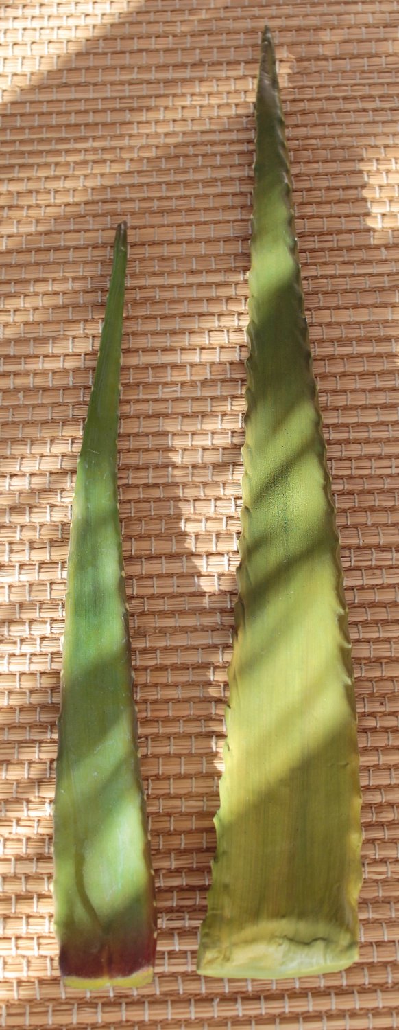 Künstliche Aloe Vera Blatt, 48 cm, grün