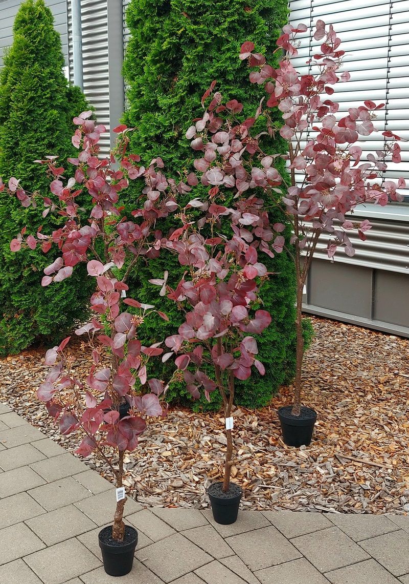 Künstlicher Eukalyptus Busch, getopft, 180 cm, antik-dunkelrosa Künstlicher Eukalyptus Busch, getopft, 180 cm, antik-dunkelrosa