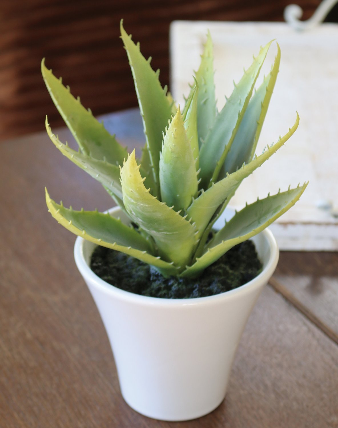 Aloe artificiale, in vaso, 20 cm, verde