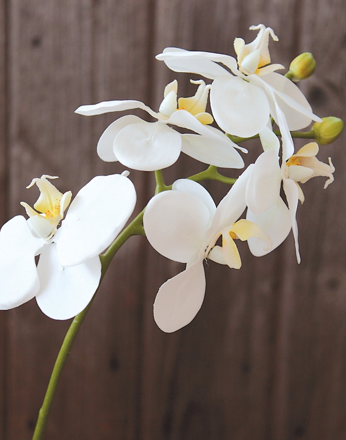 Faux orchid Phalaenopsis, 37 cm, real touch soft, white