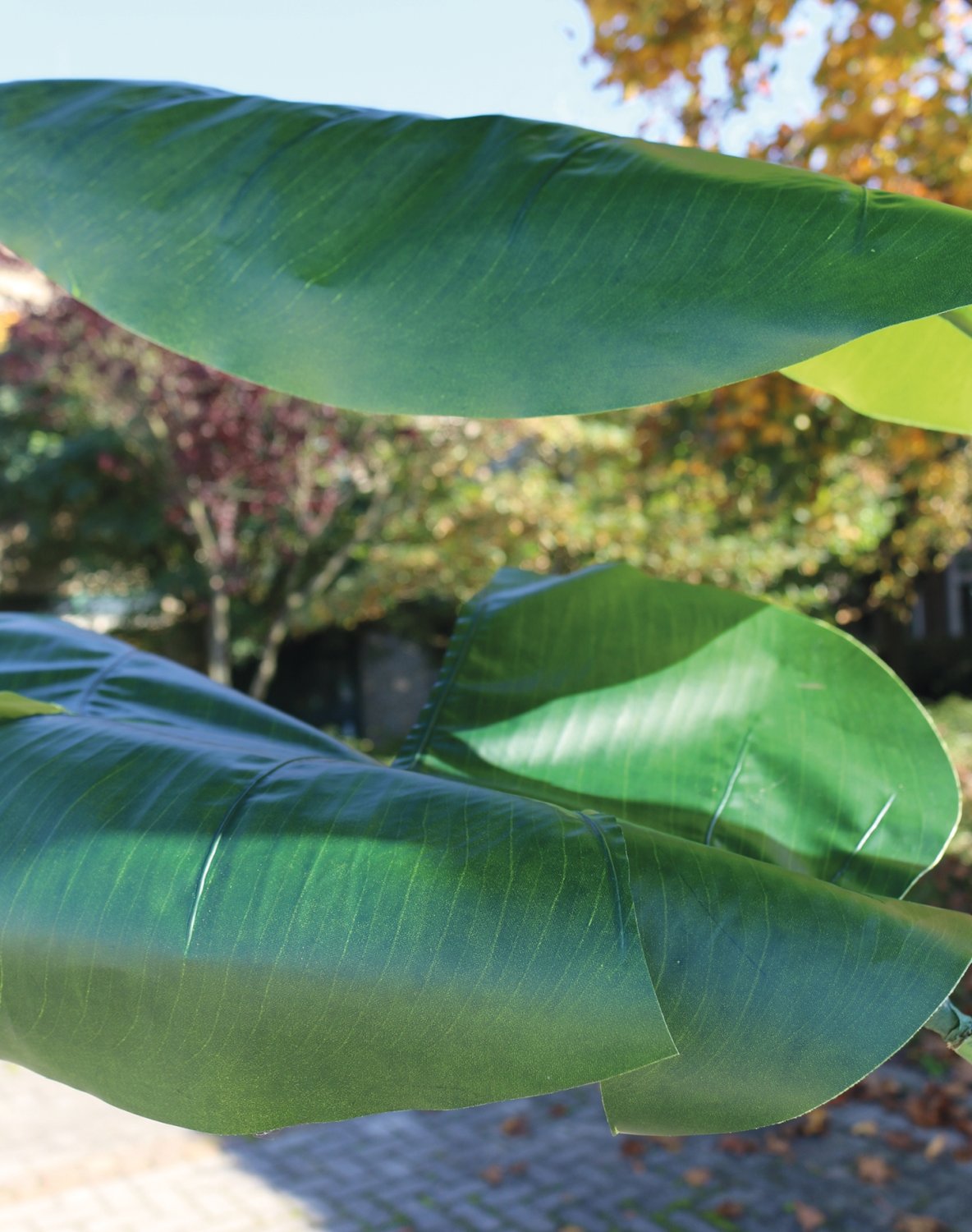 Faux heliconia, potted, 300 cm, green