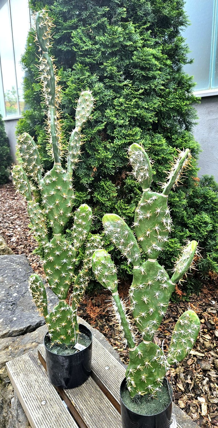 Kunststoff Kaktus Opuntie, getopft, 124 cm, grün Kunststoff Kaktus Opuntie, getopft, 124 cm, grün
