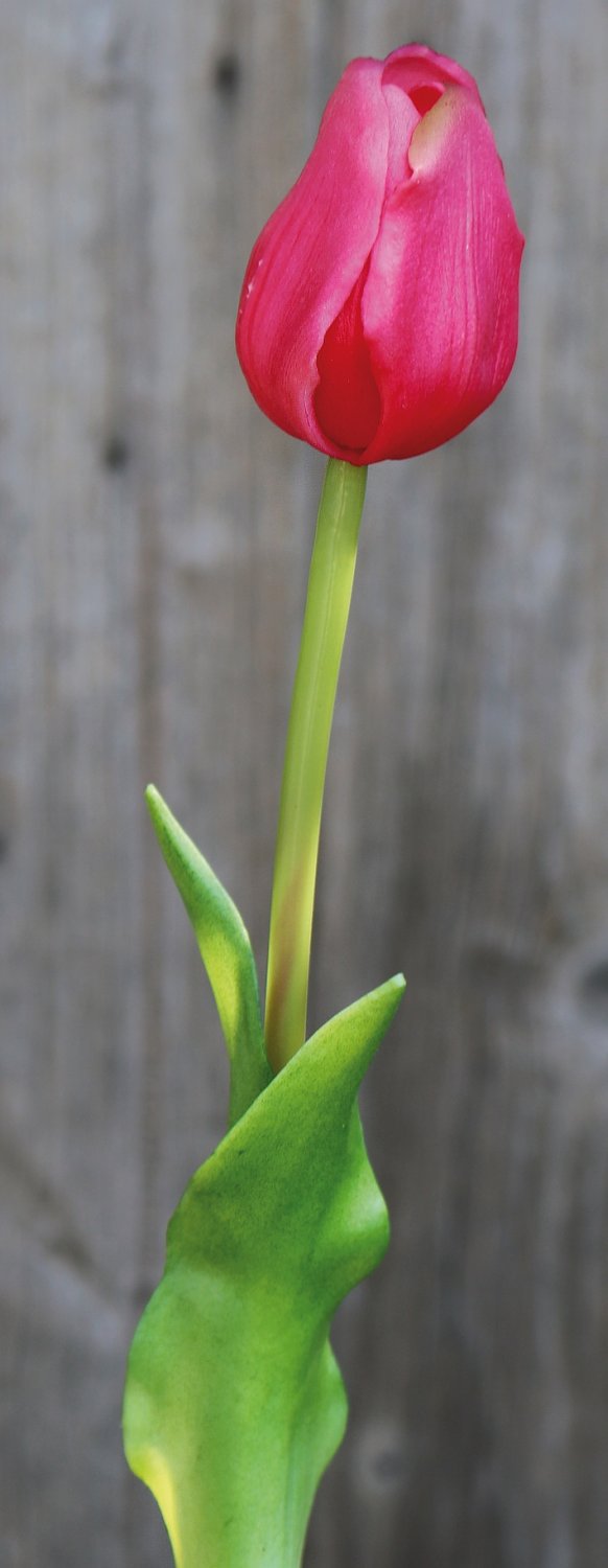 Künstliche Tulpe, französisch, 47 cm, Real Touch, pink