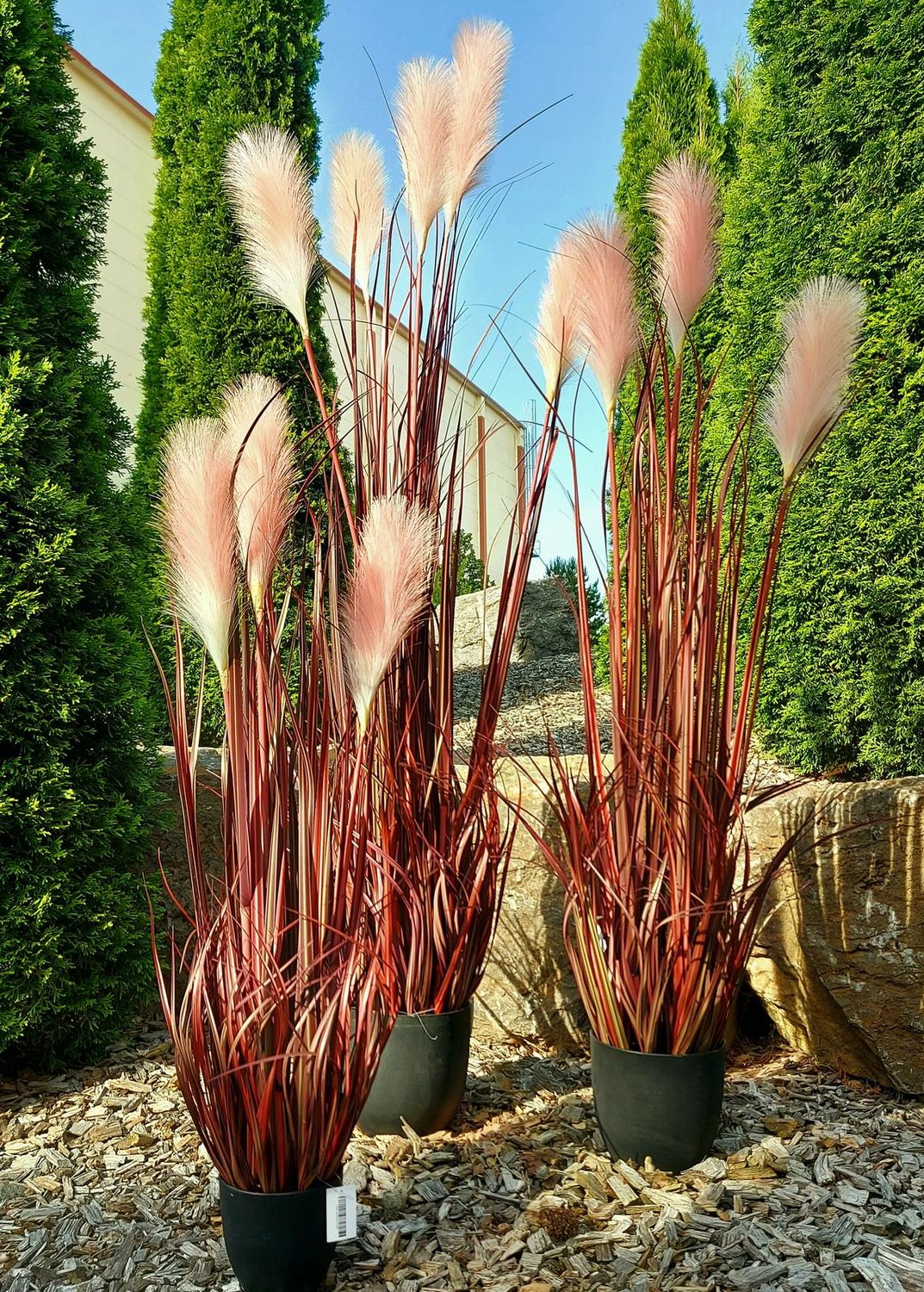 Faux reed grass in pot, 180 cm, autumn red