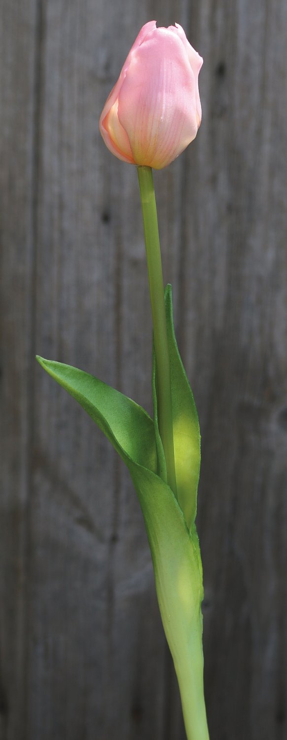 Künstliche Tulpe, französisch, 47 cm, Real Touch, rosa-grün
