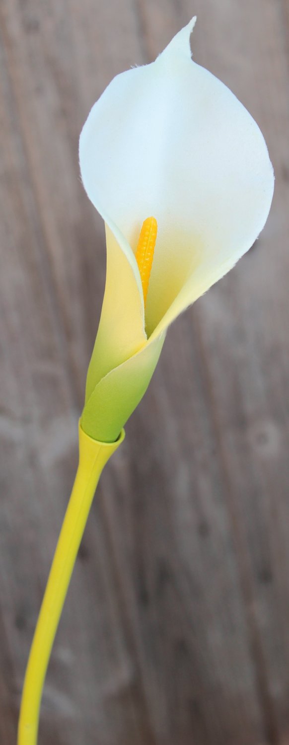 Künstliche Calla, 75 cm, 2 Stück, grün-weiß