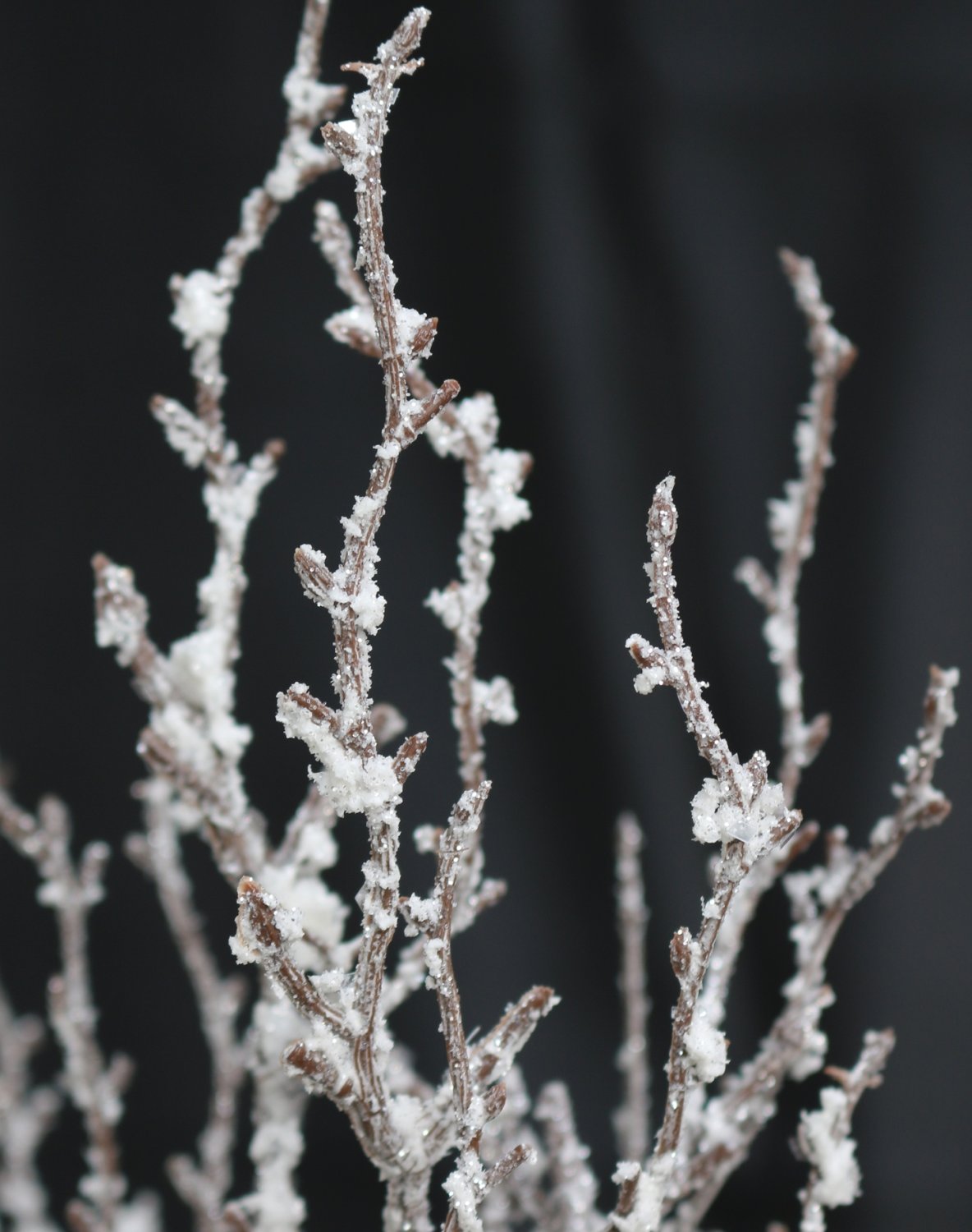 Artificial decorative twig with snow, 53 cm, frosted brown