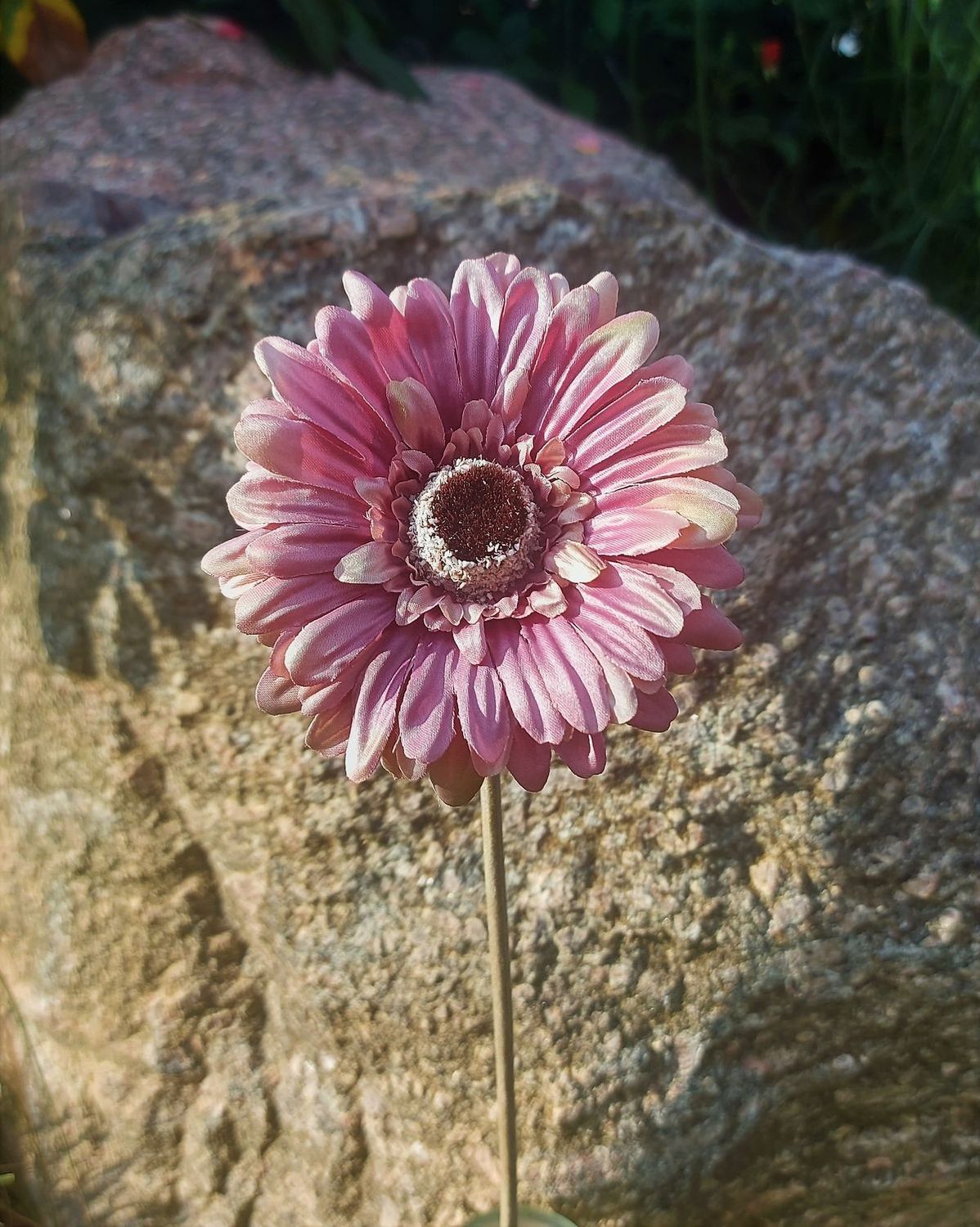 Kunstblume Gerbera "Vintage", 53 cm, antik-dunkelrosa