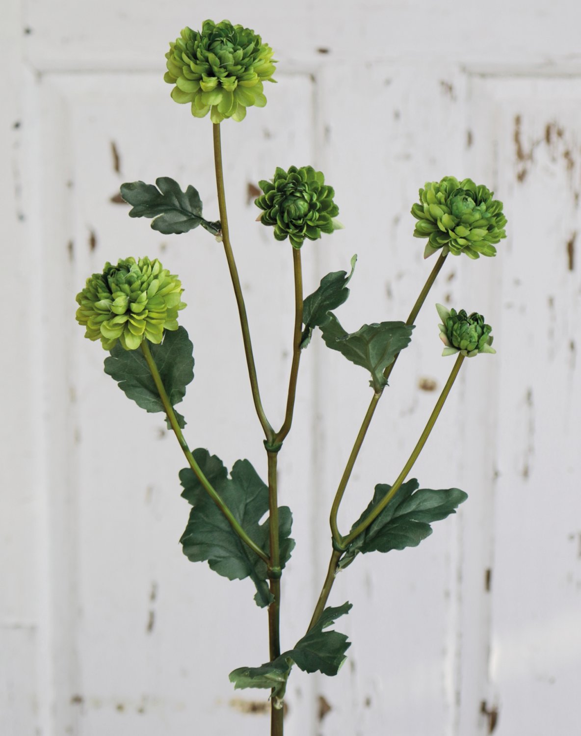 Crisantemo artificial, 5 flores, 68 cm, verde Crisantemo artificial, 5 flores, 68 cm, verde