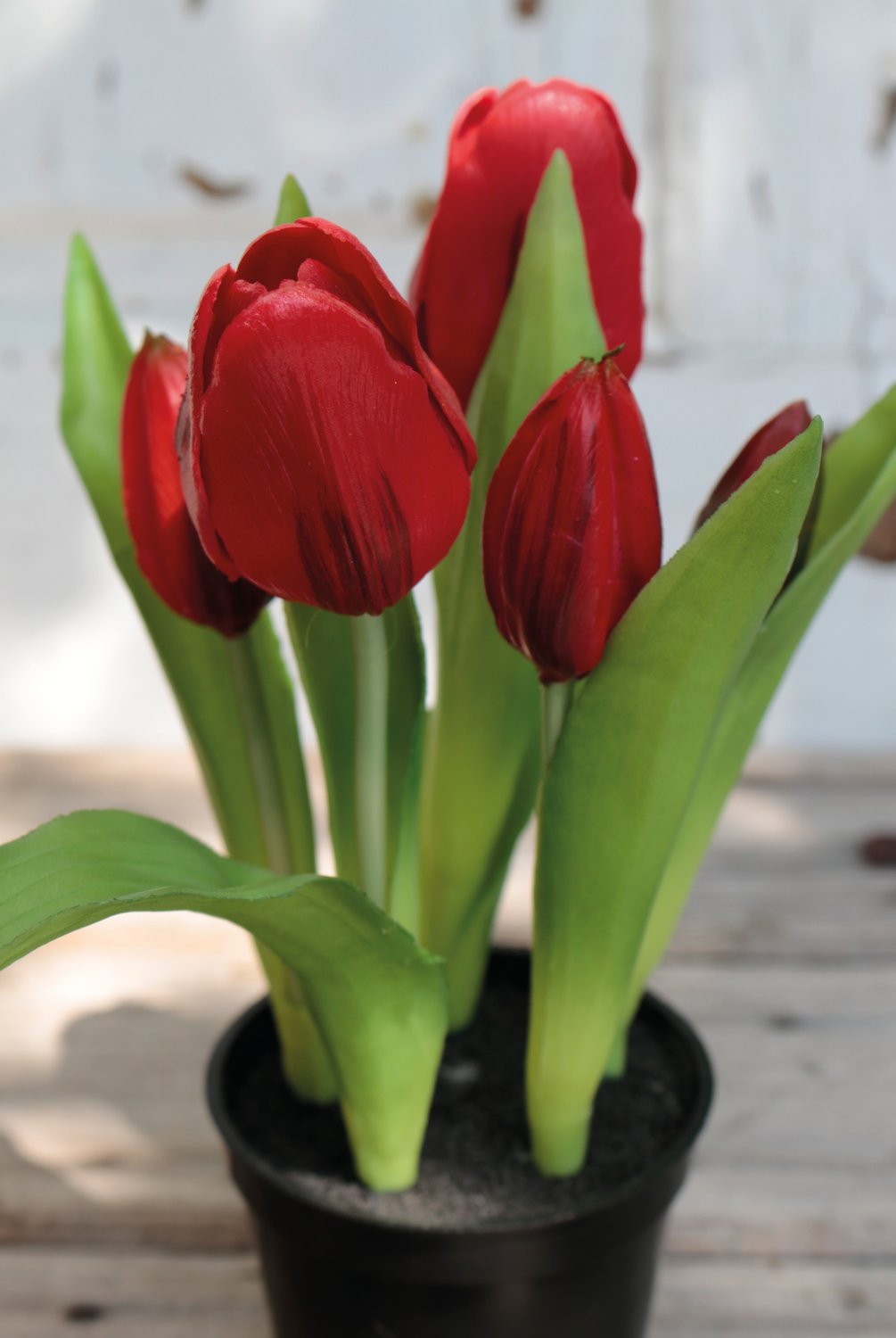 Künstliche Tulpen, getopft, 5-fach, 25 cm, Real Touch, rot