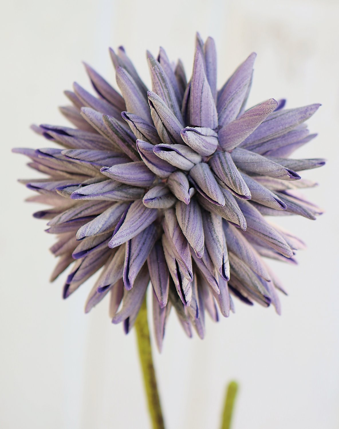 Artificial soft flower 'allium', 95 cm, dark violet