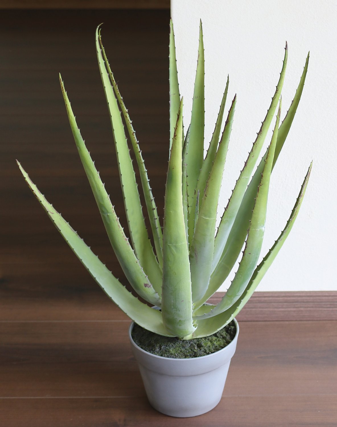 Aloe artificiale in vaso, 58 cm, verde