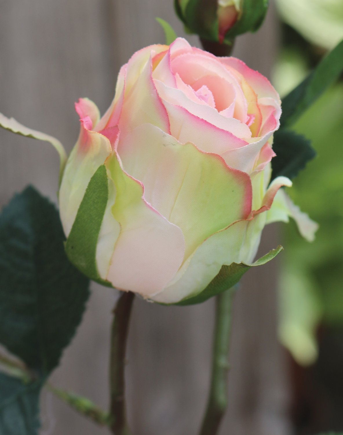 Künstliche Rose, 1 Blüte, 1 Knospe, 45 cm, creme-aprikose