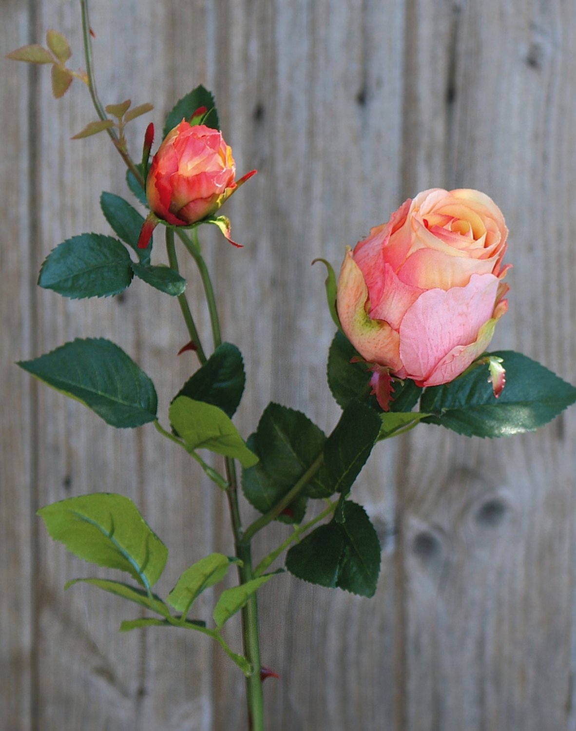 Künstliche Rose, 1 Blüten, 1 Knospen, 80 cm, aprikose