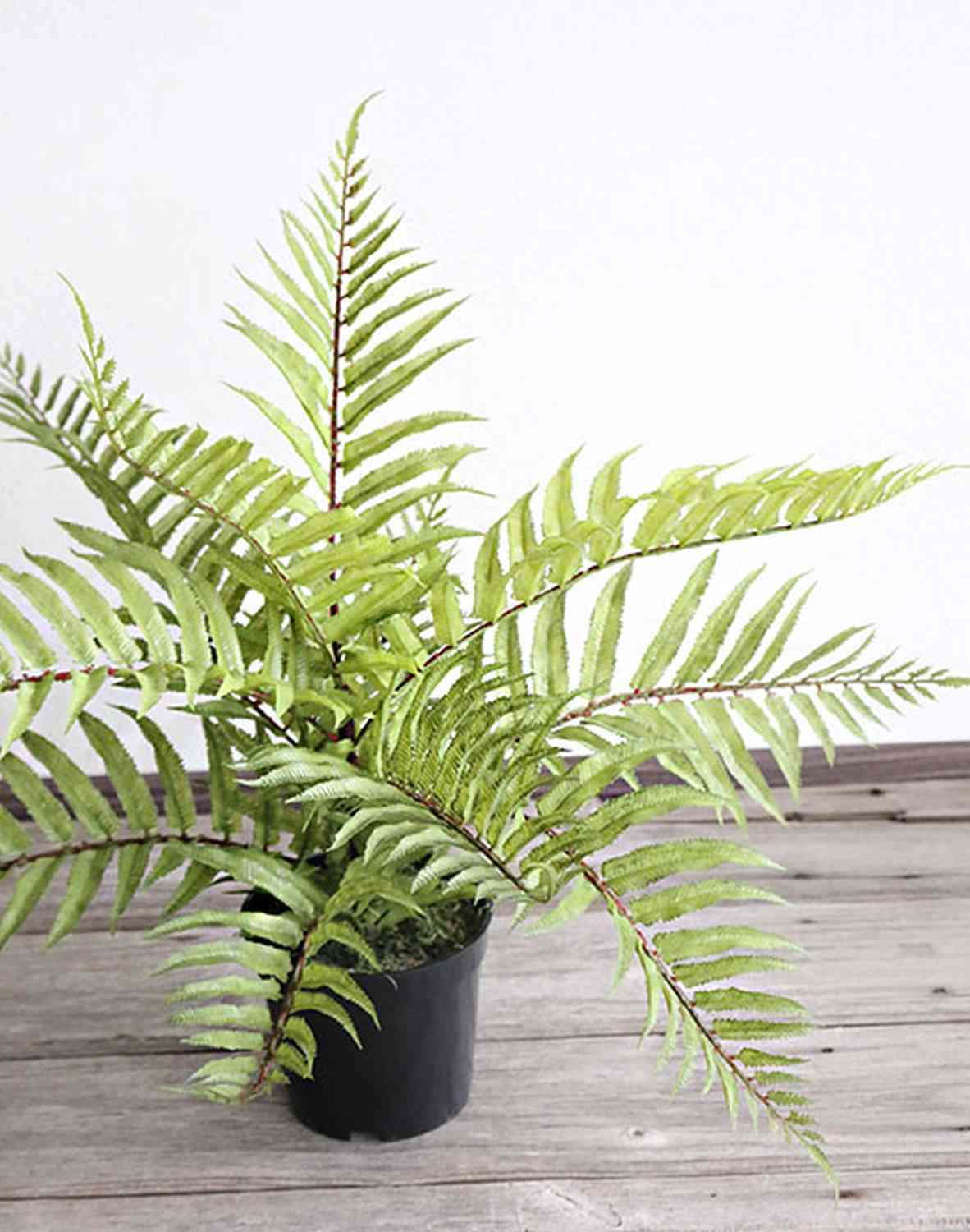 Artificial fern, potted, 45 cm, green