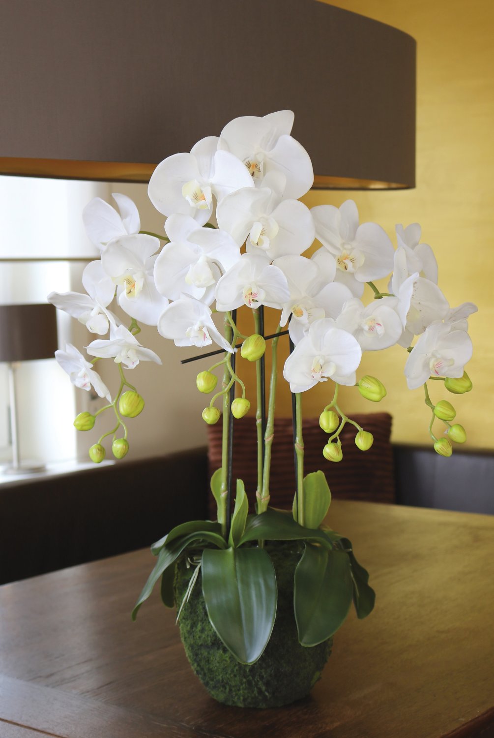 Künstliche Orchidee Phalaenopsis in 'Erde', 4-fach, 65 cm, Real Touch, weiß