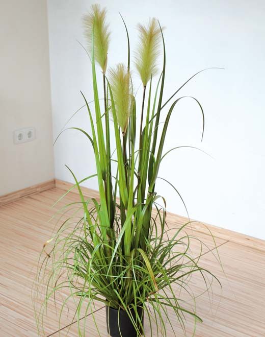 Artificial pampas grass, potted, 120 cm, green Artificial pampas grass, potted, 120 cm, green