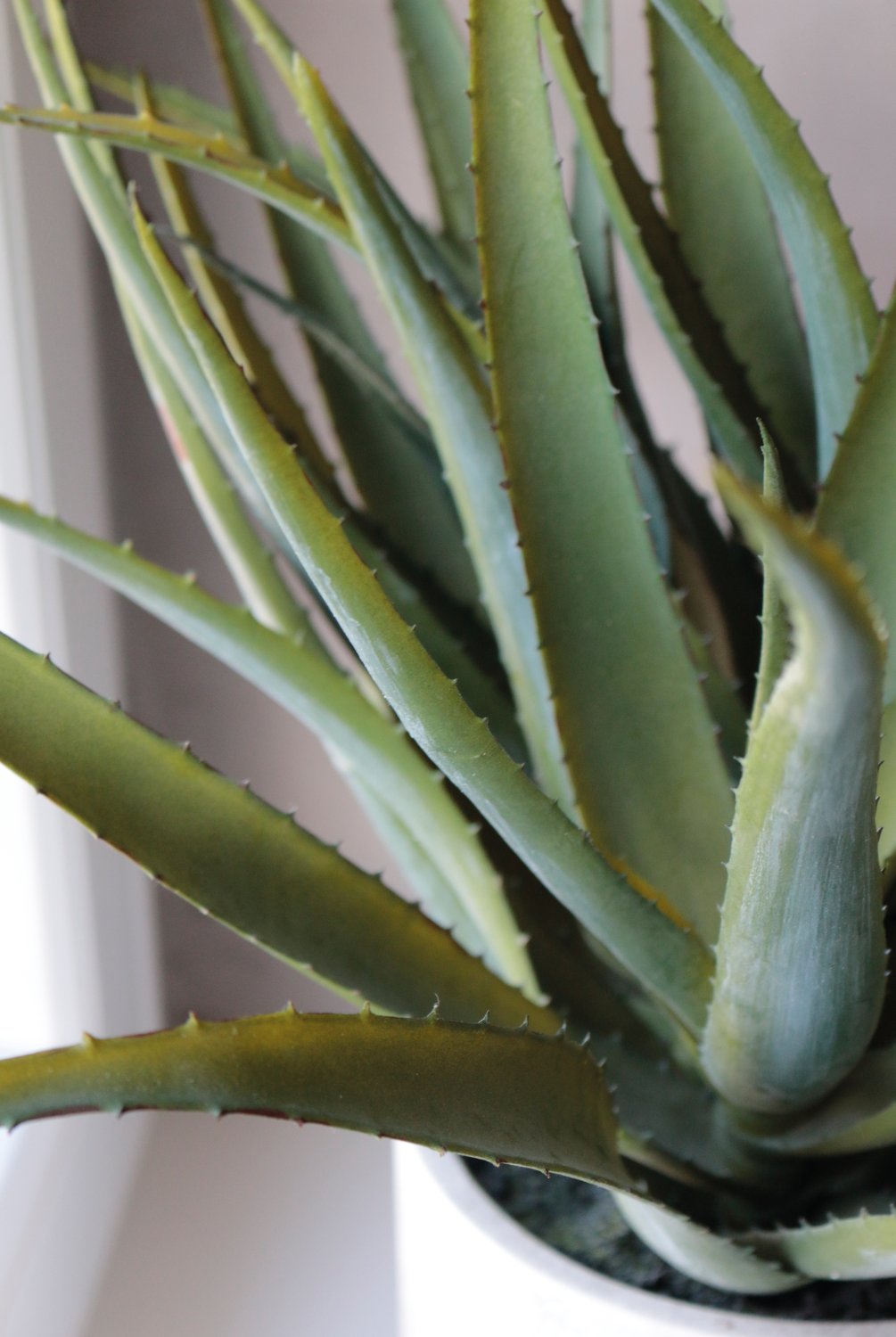 Künstliche Aloe, getopft, 53 cm, grün