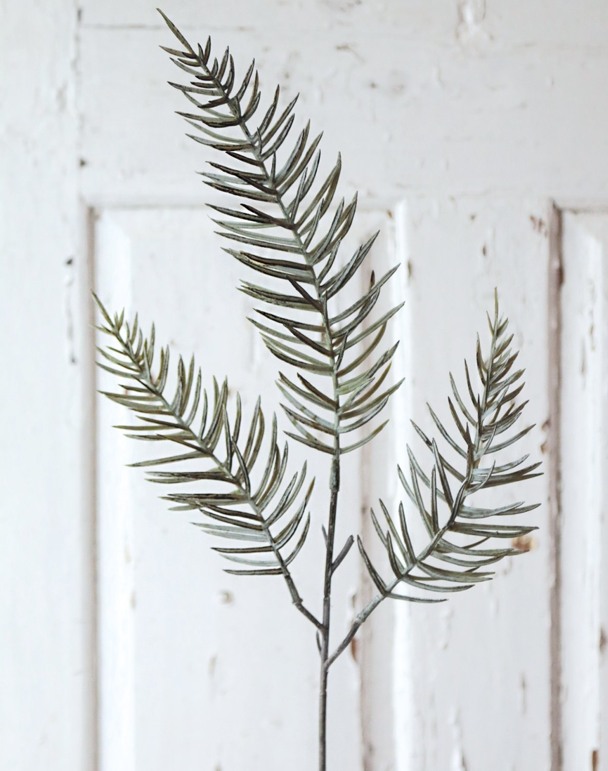 False cypress branch, 50 cm, dark green