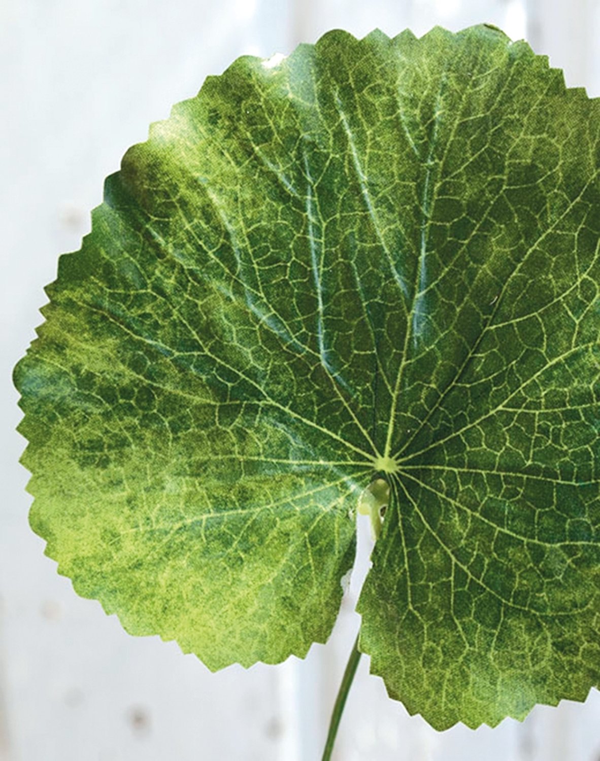 Plastic geranium leaf, 42 cm, green