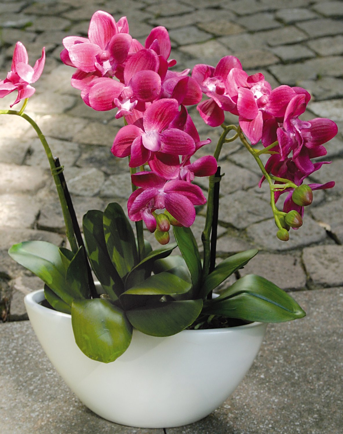 Plastic orchid Phalaenopsis, 3-fold, in bowl, 38 cm, real touch, cerise