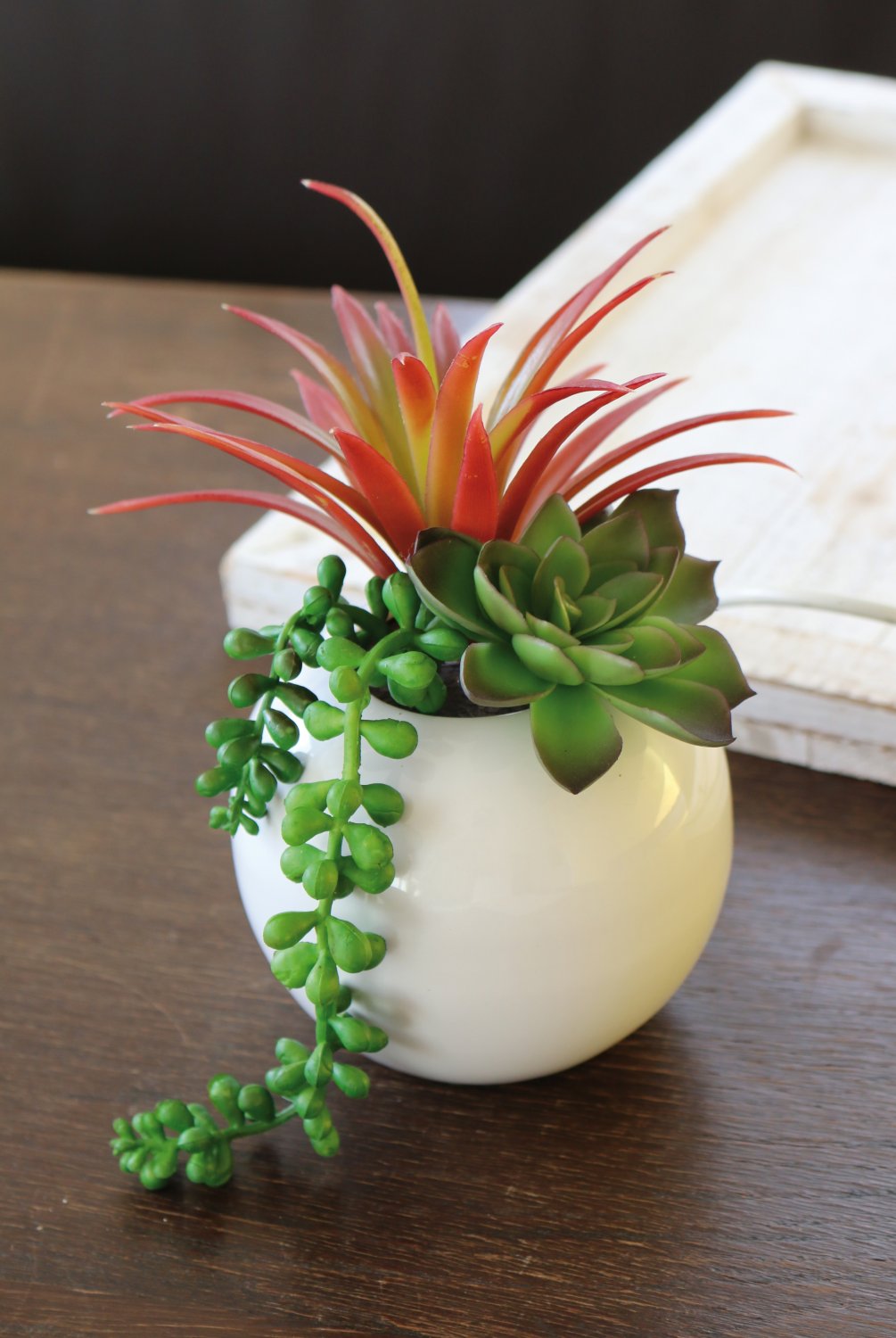 Artificial succulents-mix in ceramic pot, 20 cm, green-burgundy