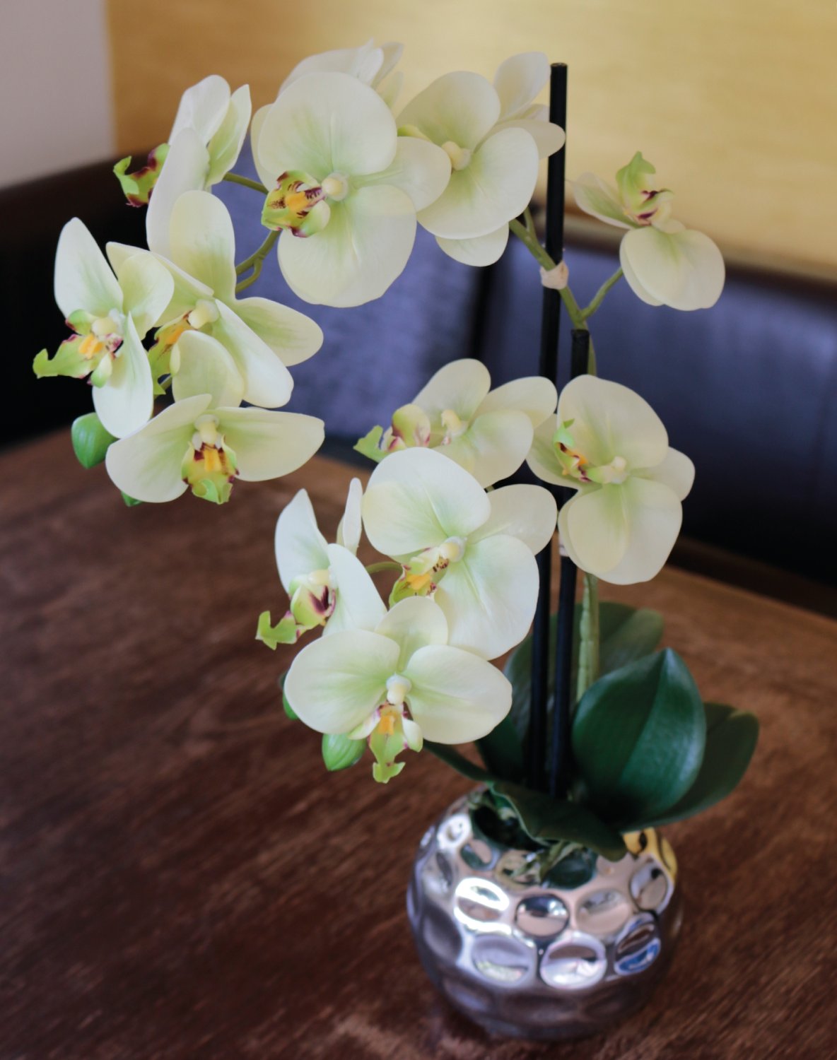 Orquídea de seda Phalaenopsis, 2 tallos, 45 cm, tacto real, verde crema Orquídea de seda Phalaenopsis, 2 tallos, 45 cm, tacto real, verde crema