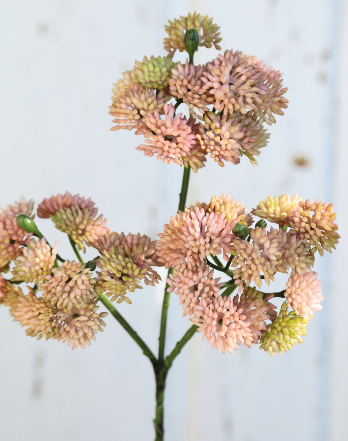 Artificial sedum branch, 32 cm, beige-apricot