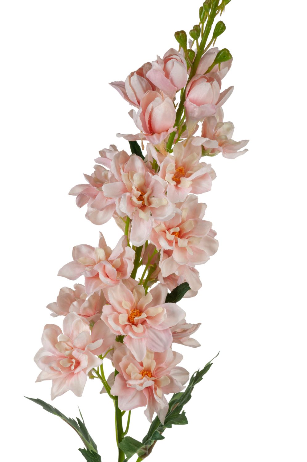 Uneche Delphinium Blume, 74 cm, hellrosa