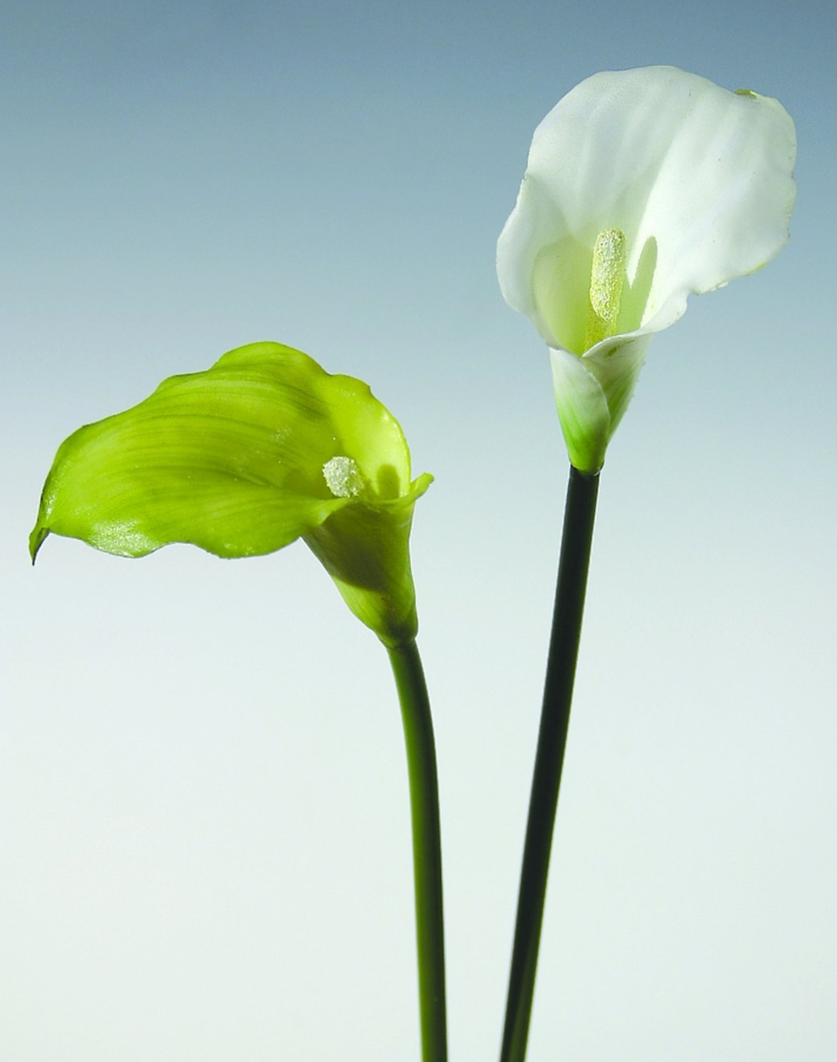 Künstliche Calla, 54 cm, Real Touch, weiß