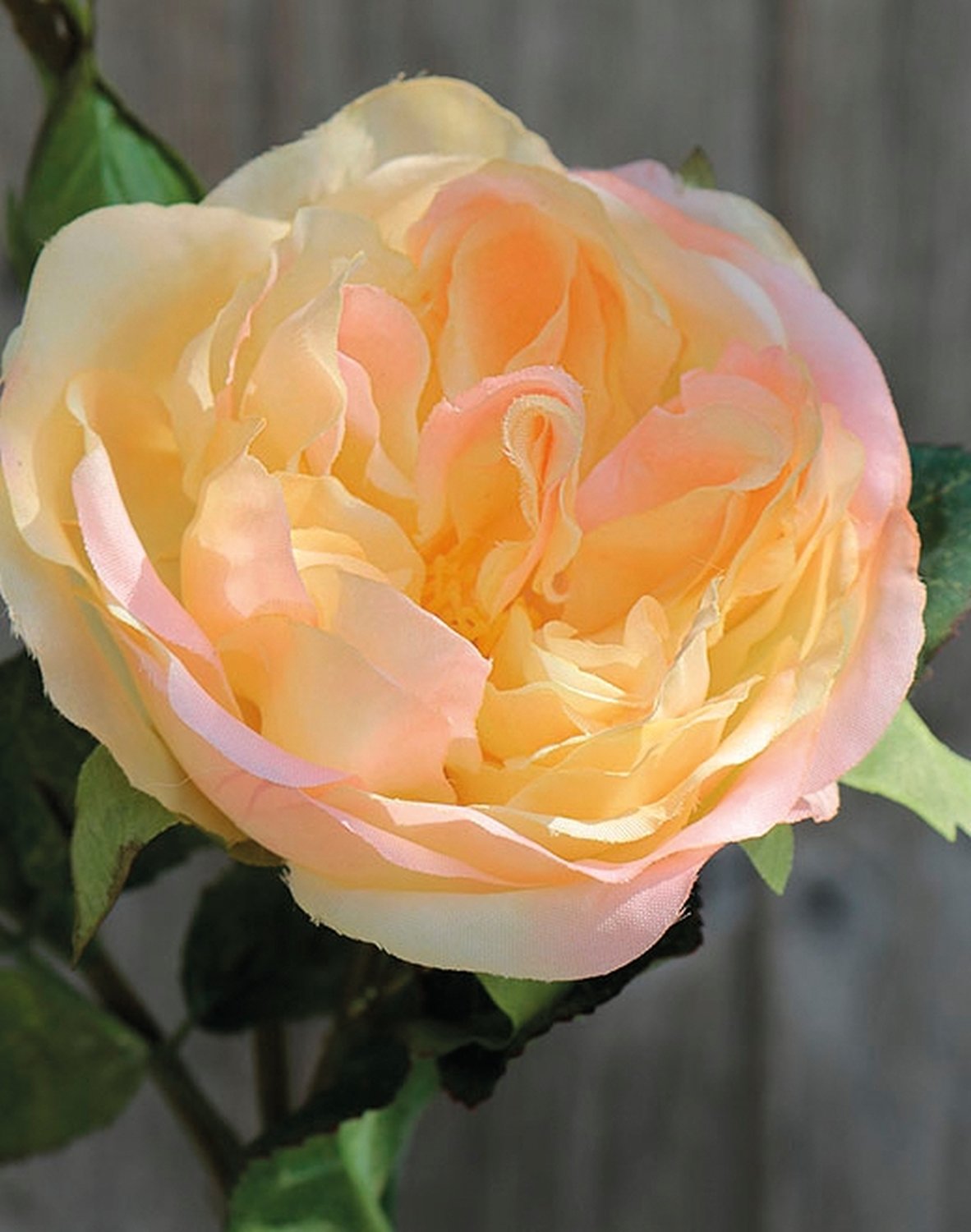 False rose, 1 flower, 2 buds, 30 cm, apricot