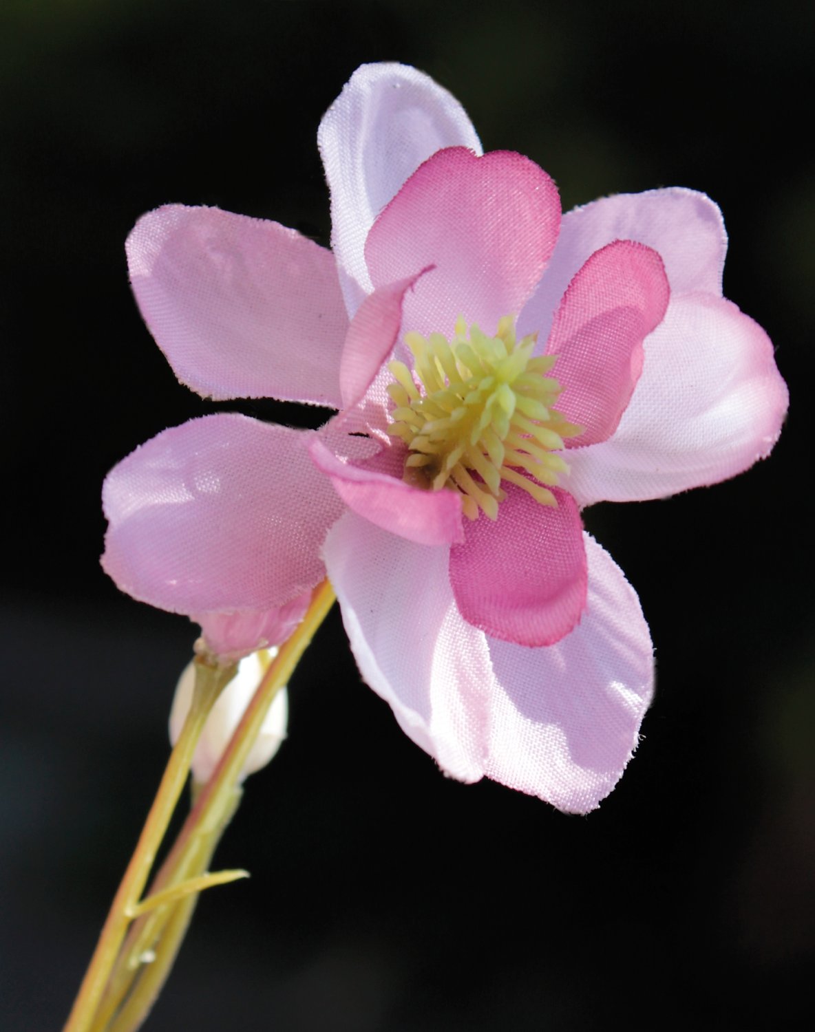 Granny's bonnet silk flower, 99 cm, pink-green