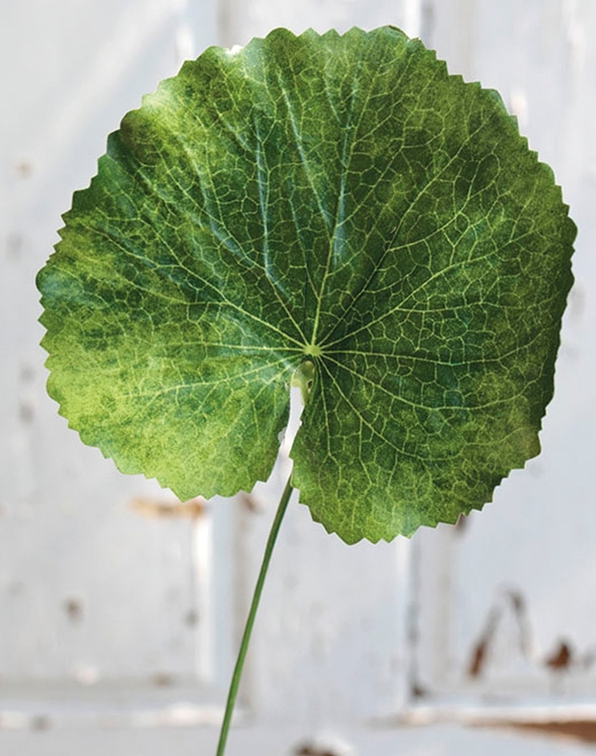 Plastic geranium leaf, 42 cm, green