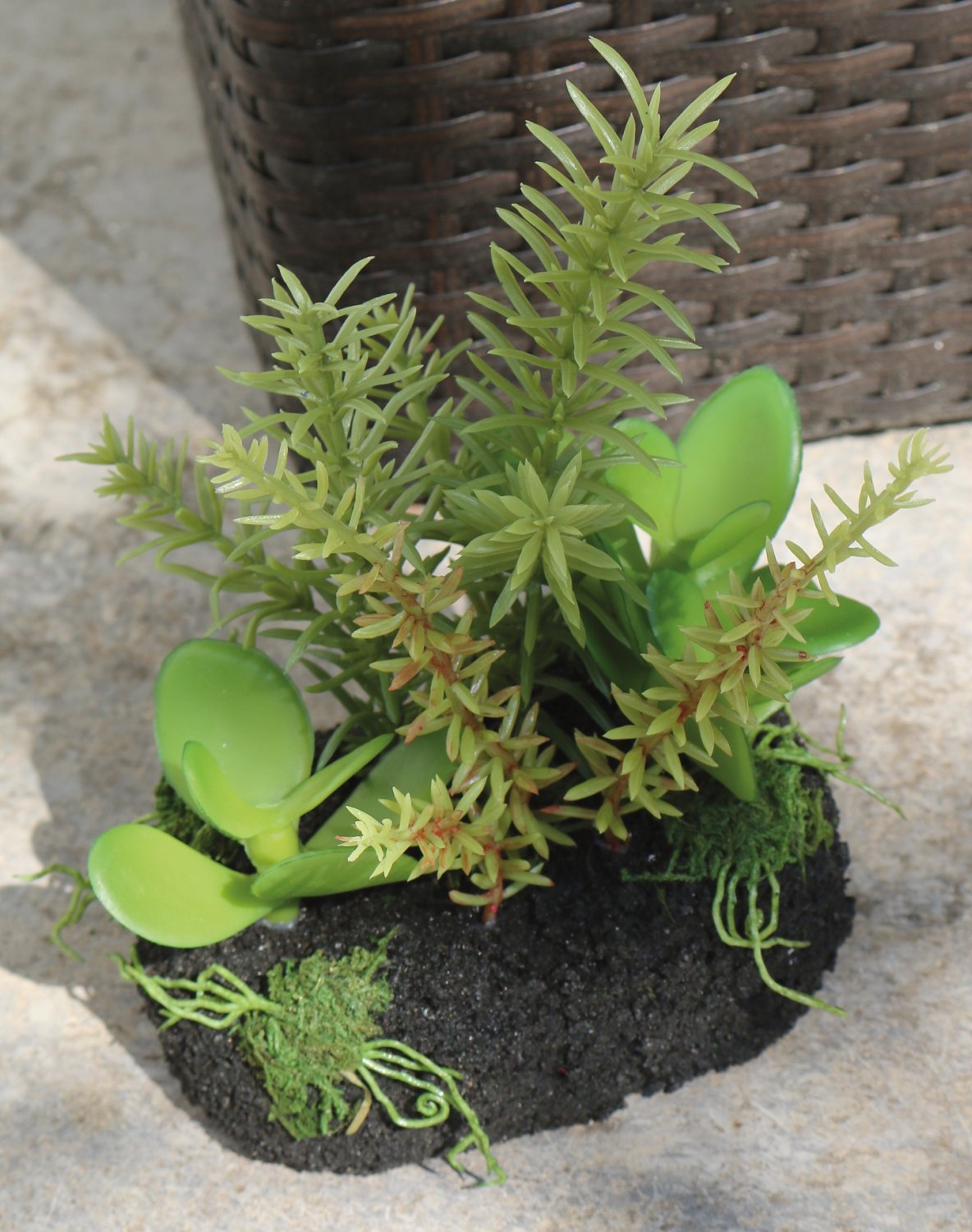 Artificial succulents-mix on 'soil', 16 cm, green