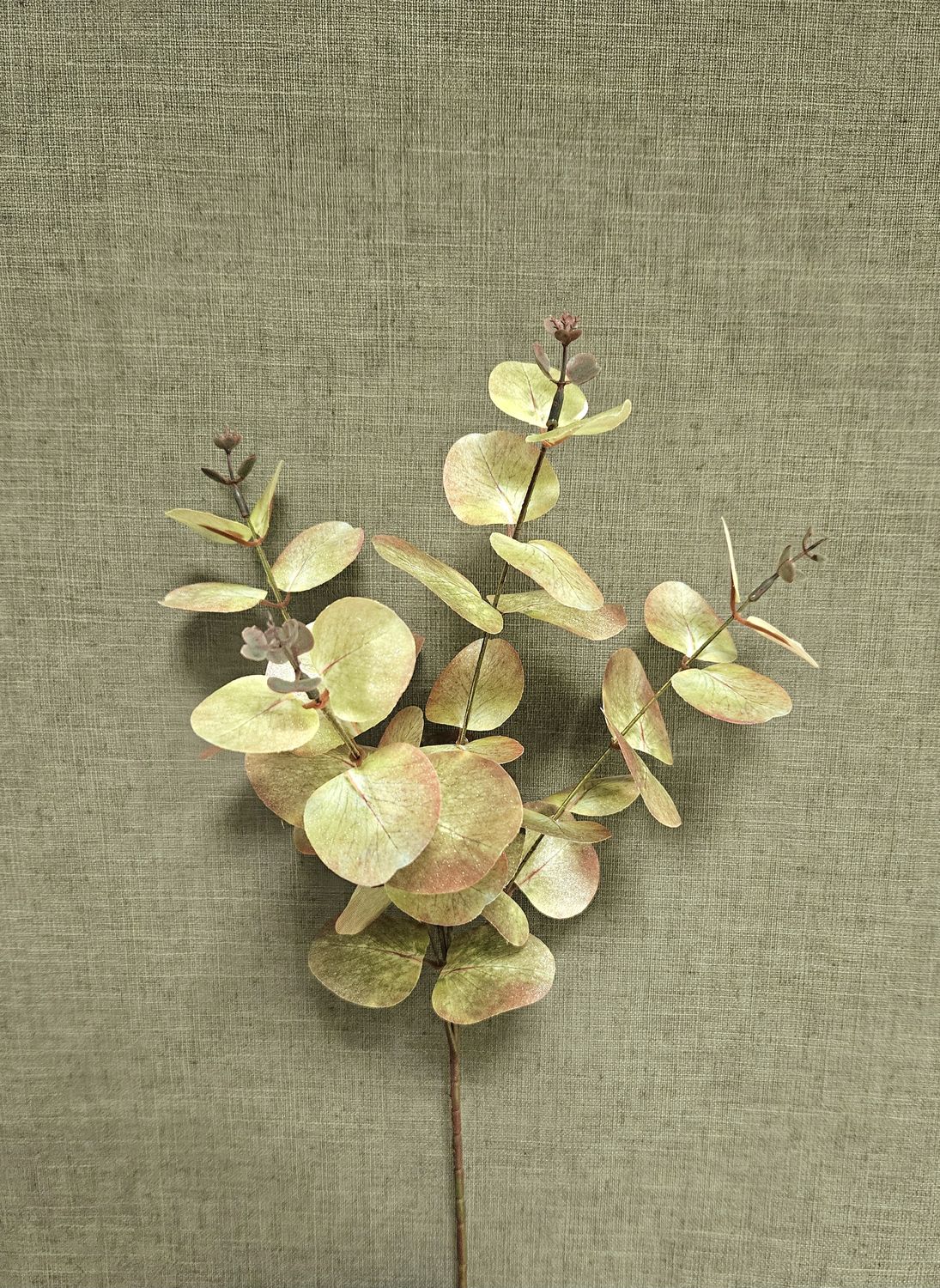 Künstlicher Eukalyptuszweig mit Glanz, 60 cm, grün-gold
