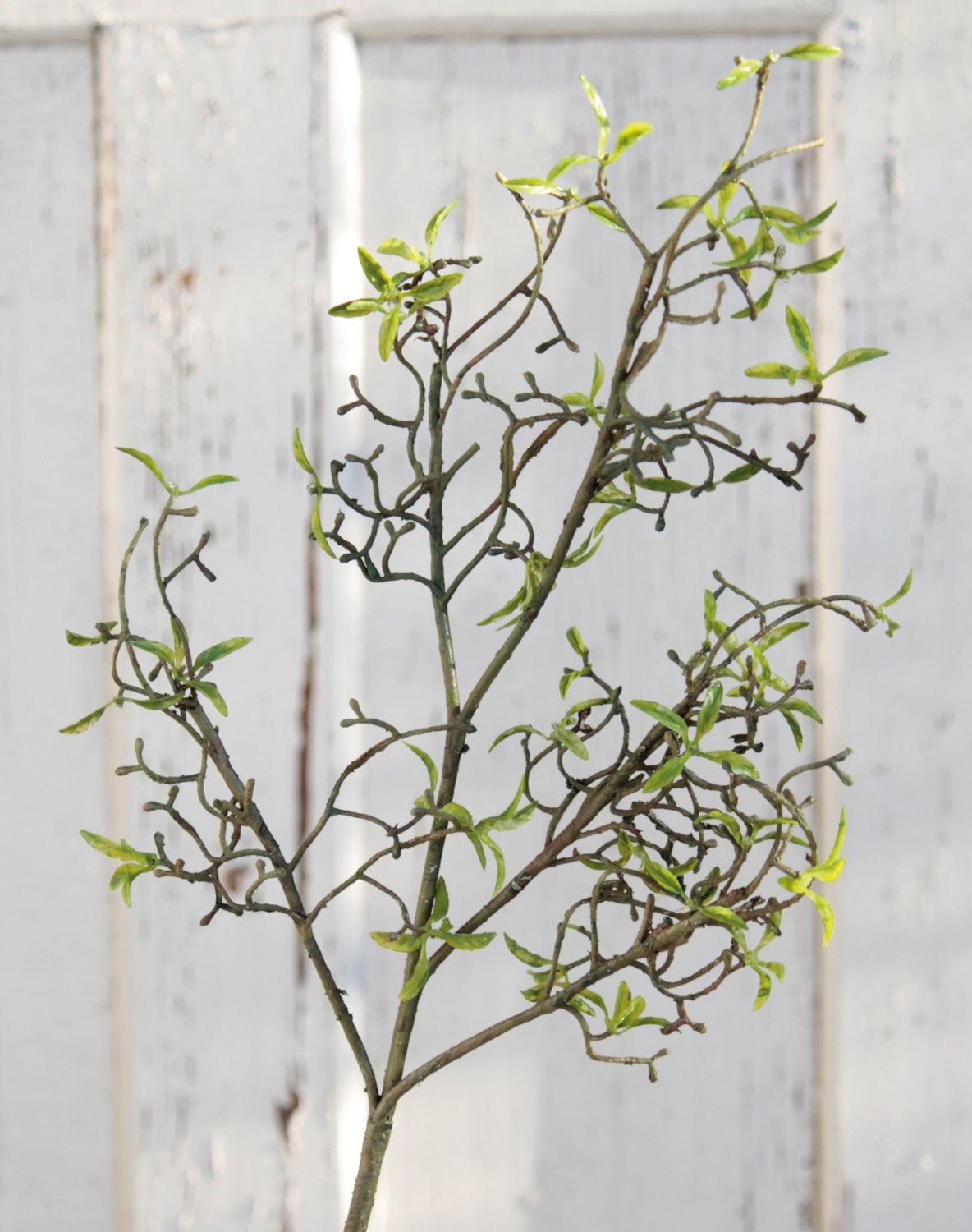 Künstlicher Dekozweig mit zarten Blättern, 72 cm, grün