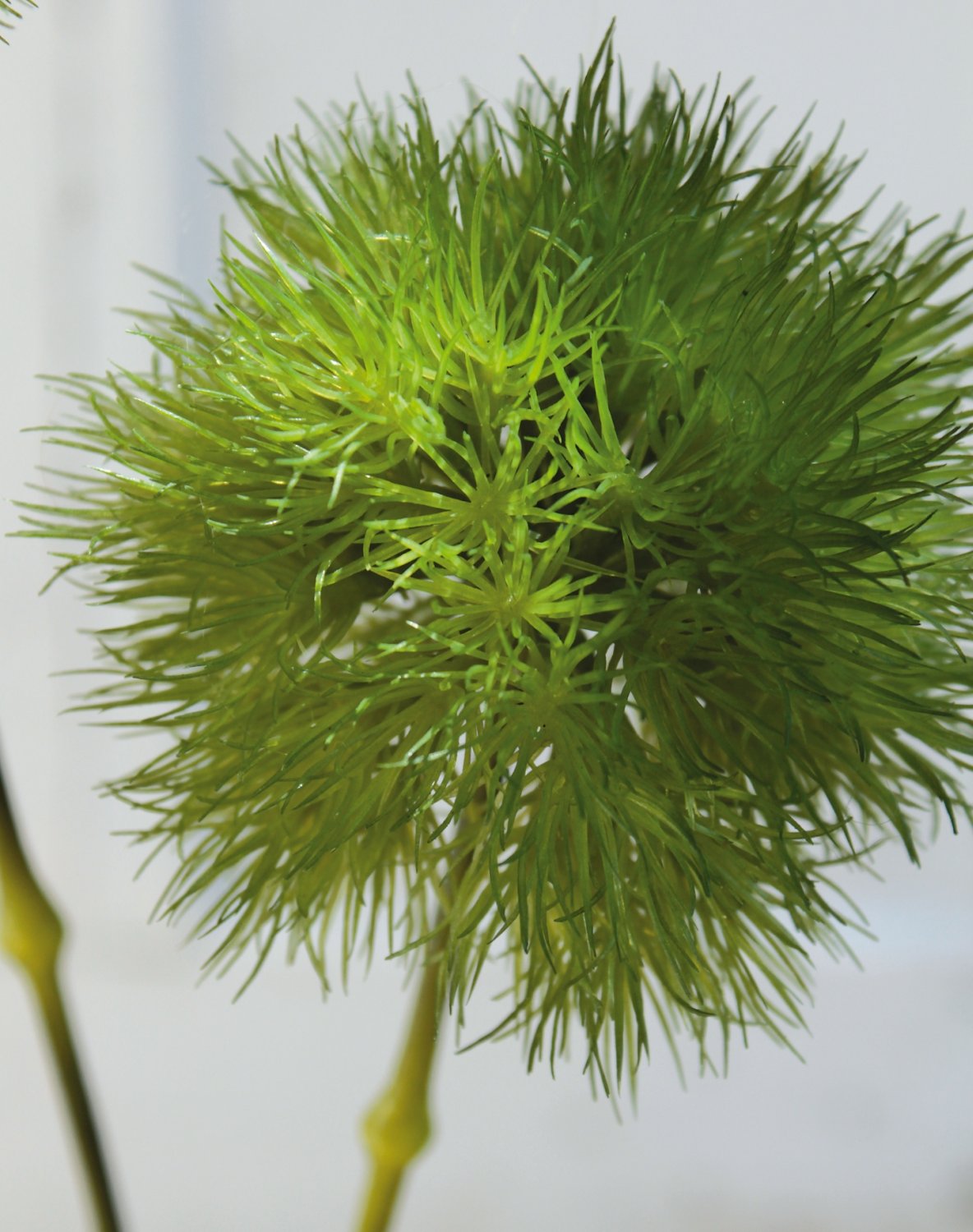 Künstliches Chinesisches Federgras, 45 cm, grün