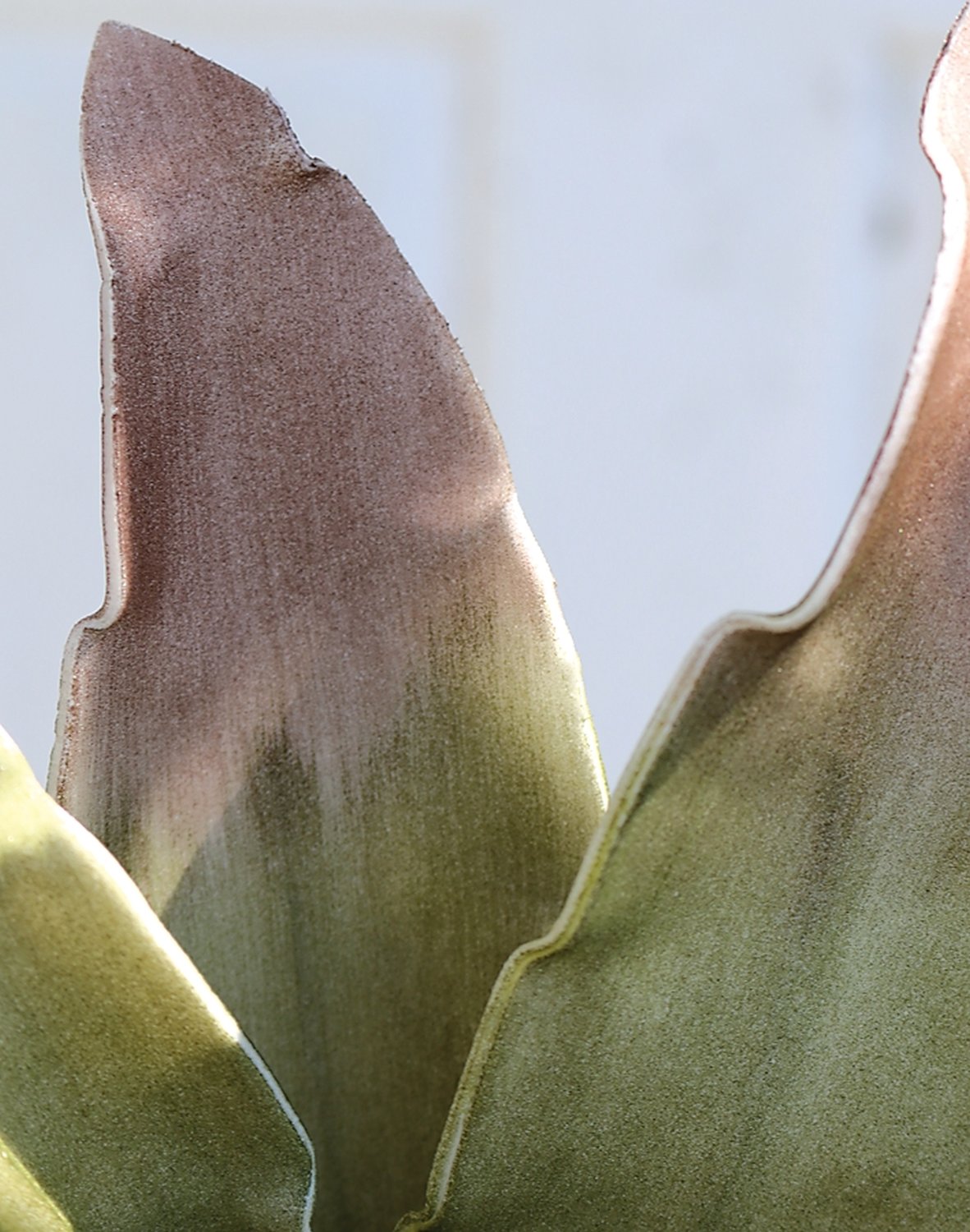 Künstliche Soft flower 'Agave', 90 cm, olive-braun