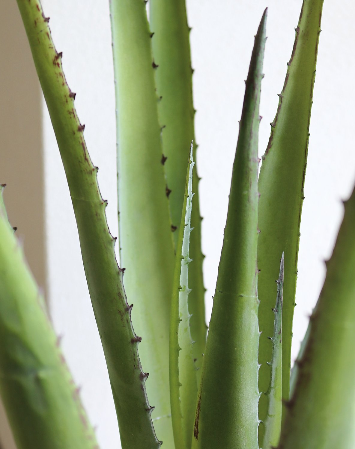 Künstliche Aloe, getopft, 58 cm, grün