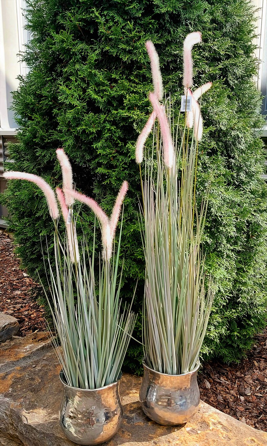 Faux lampbush grass, potted, 120 cm, green-pink