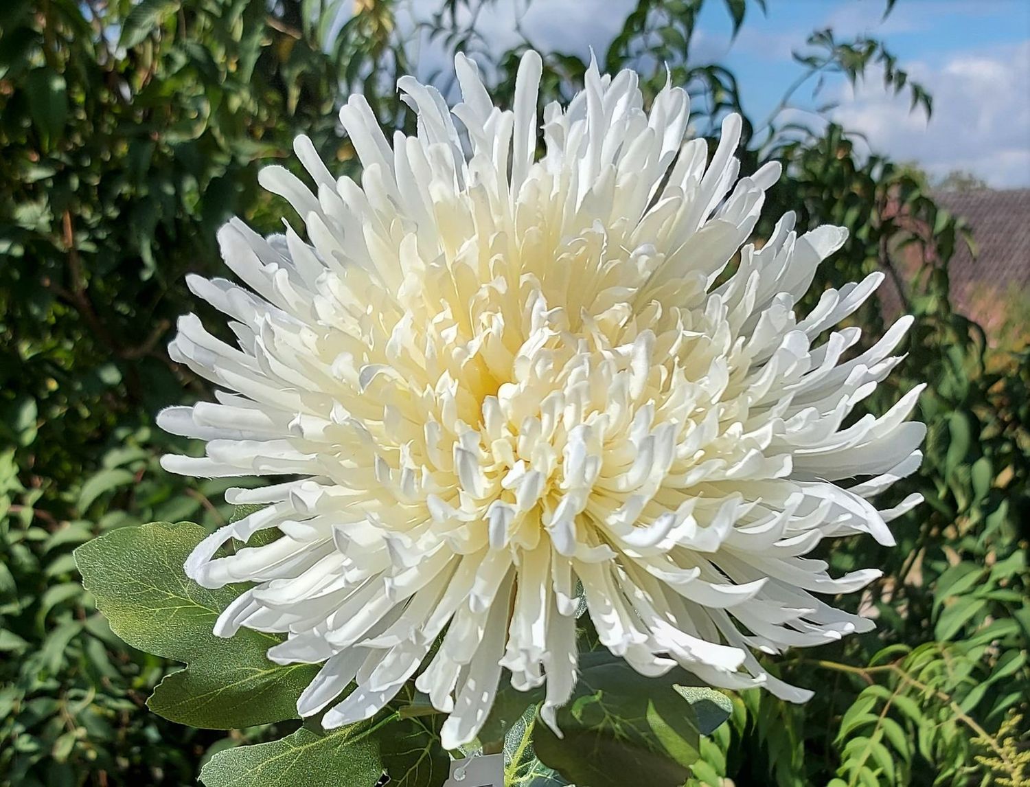 Künstliche Chrysantheme, 73 cm, Ø 18 cm, gelb-orange