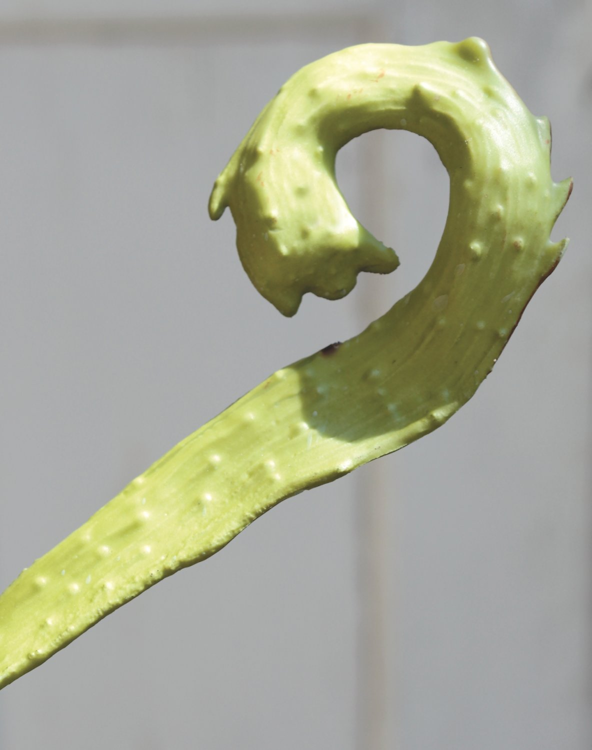Künstlicher Drachenweiden Zweig, 86 cm, grün