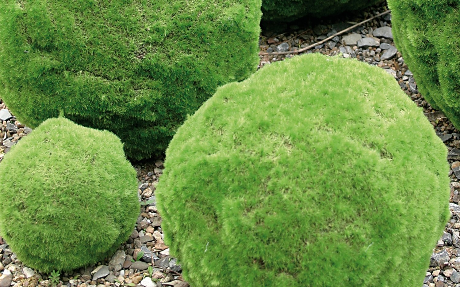 Künstliche Mooskugel, Ø 15 cm, grün