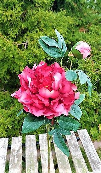 Kunstblume Päonie, 68 cm, rot-rosa