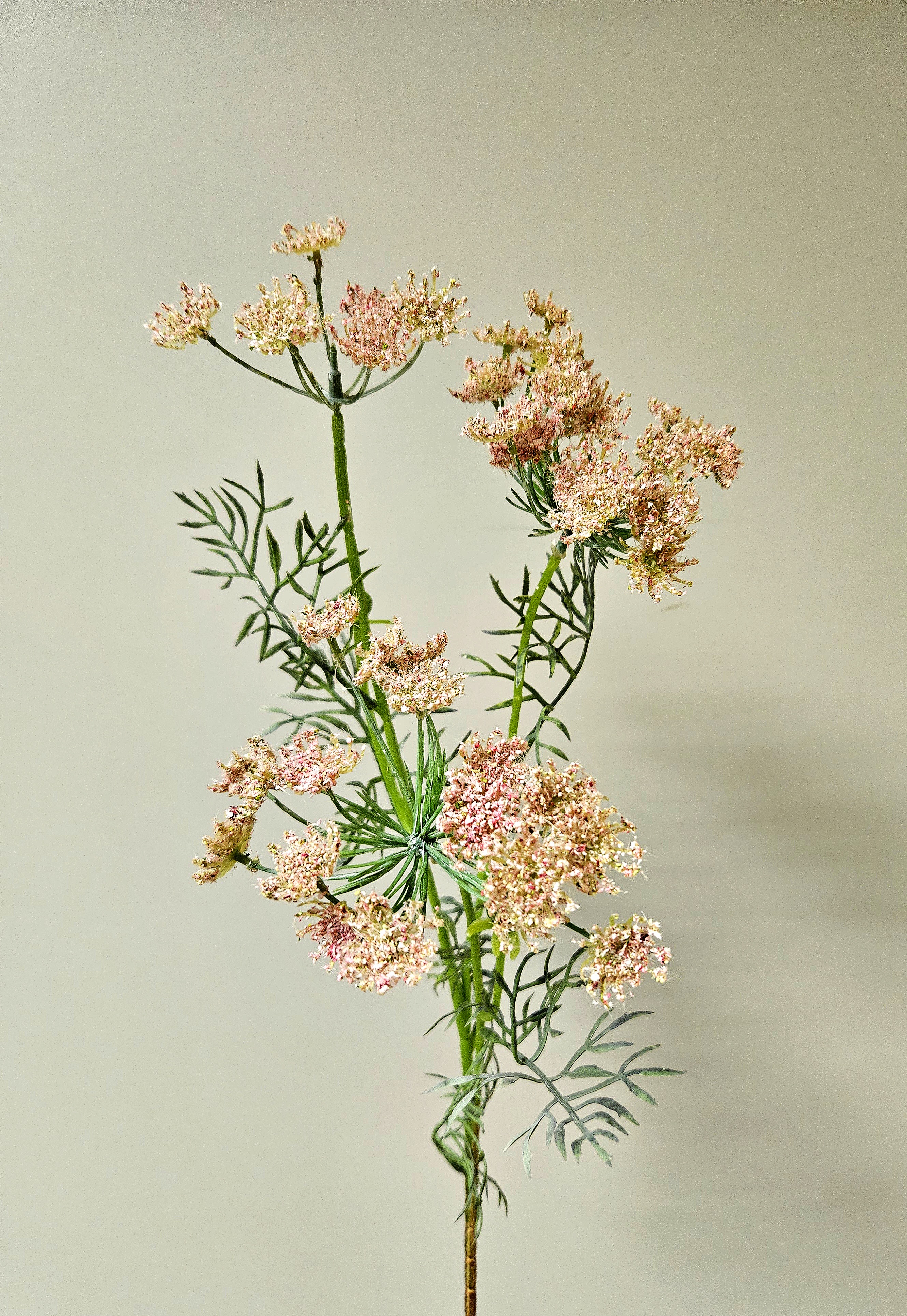 Künstliche Schafgarbe, Staude, 71 cm, hellrosa