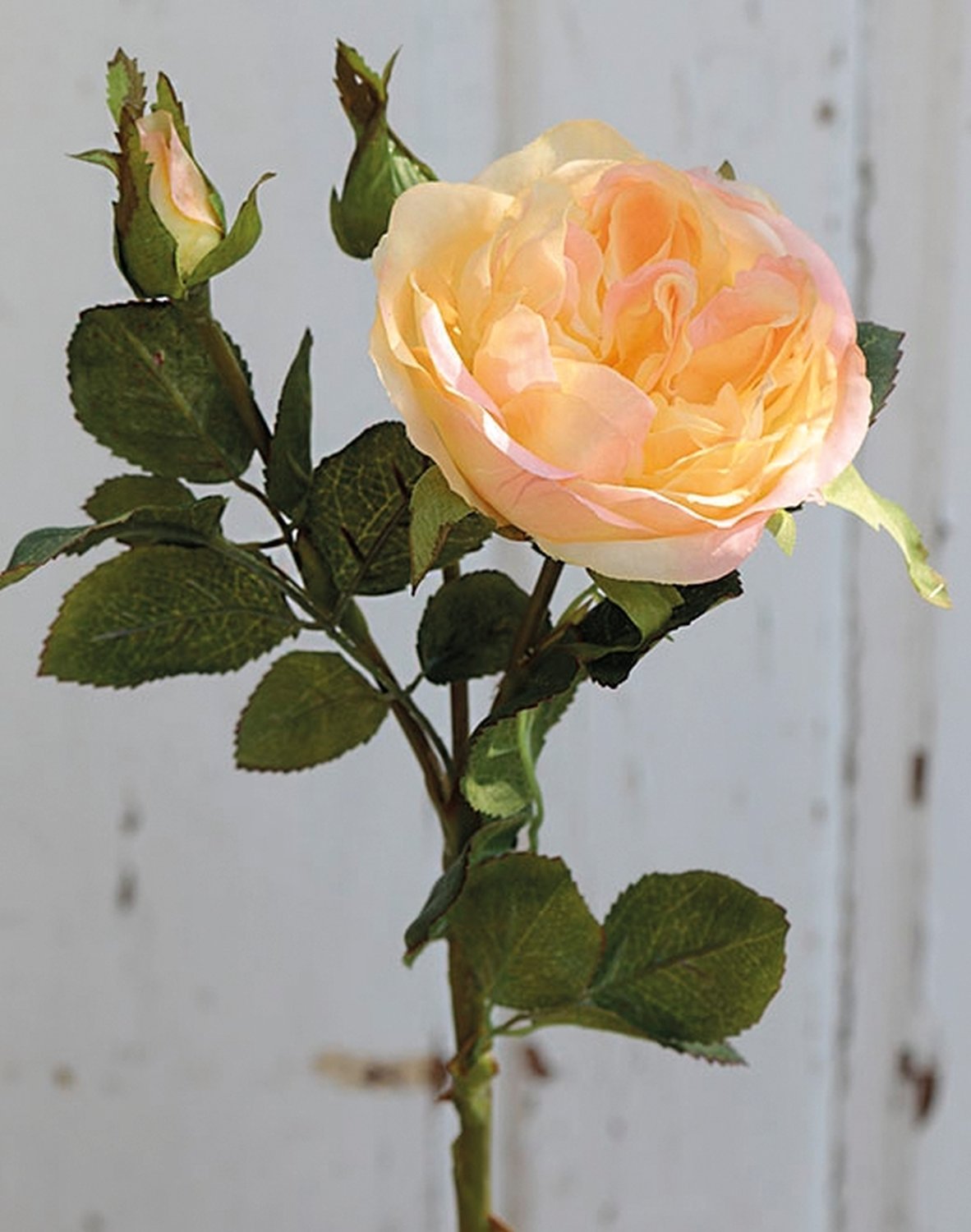 False rose, 1 flower, 2 buds, 30 cm, apricot