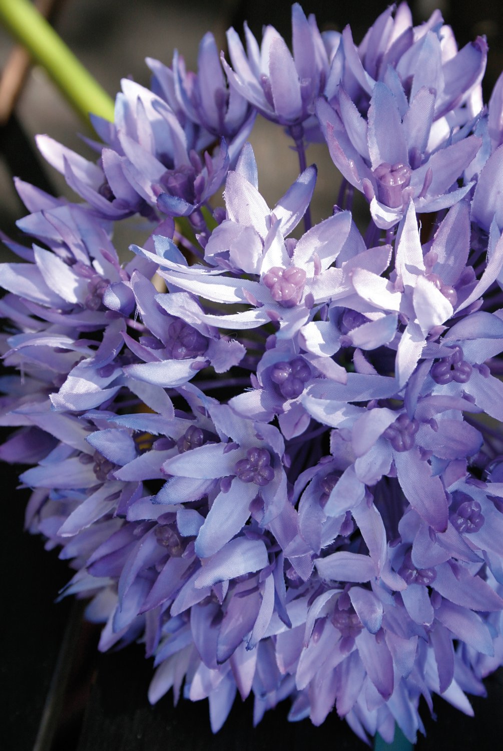 Artificial allium, 71 cm, light violet-dark violet