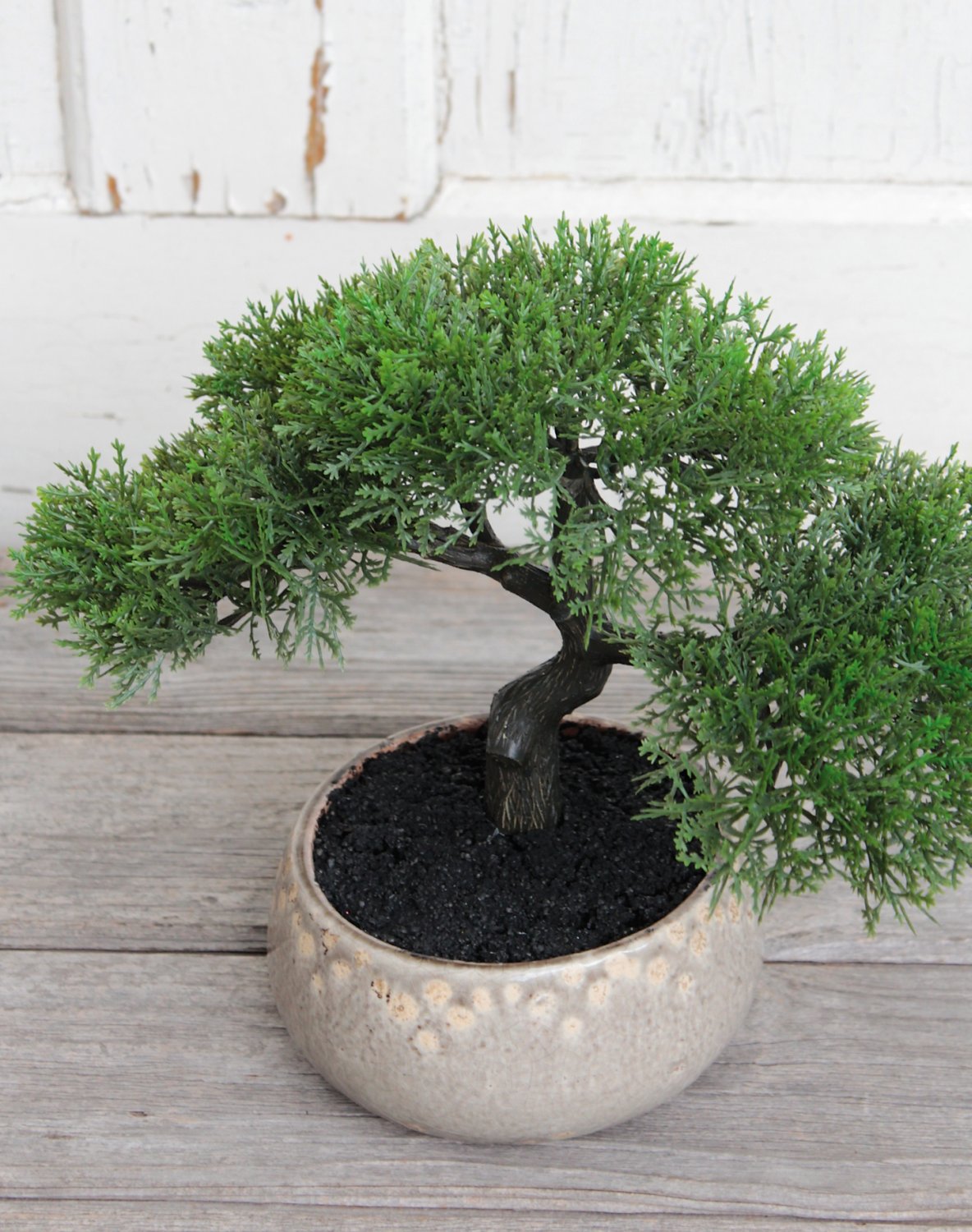 Künstliche Bonsai-Konifere in Keramiktopf, 23 cm, grün