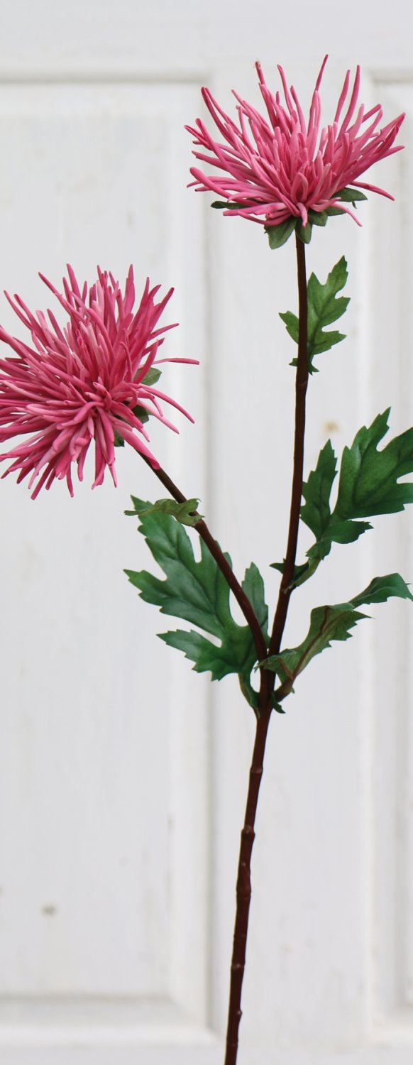 Künstliche Strahlen-Chrysantheme, 2-fach, 72 cm, hellrosa-dunkelrosa