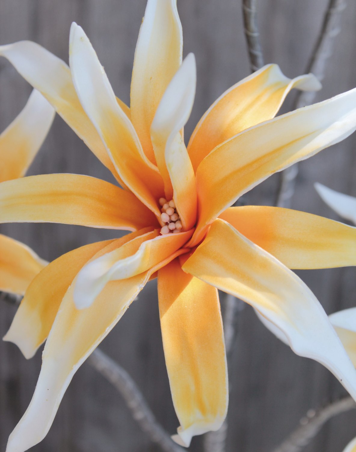Fiore artificiale Soft 'esotico', 5 fiori, 115 cm, giallo-bianco